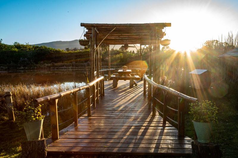 5 Bedroom Property for Sale in The Crags Western Cape